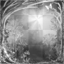 Animated background fantasy