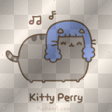 Kitty Perry / Pusheen 