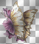 papillon