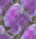 FLOWER BG