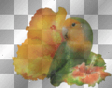 soave bird exotic flowers green yellow