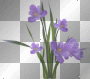 Flowers purple spring summer