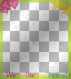 ''We are the best Twins'' frame glitter