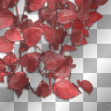 Wingska Gothic fantasy plant leaves red