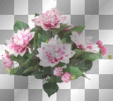 accessories deco rosa pink ludmilla1959