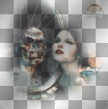 artemia transparent goth-beauty-woman death-head-mirror-reflection