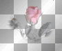 vintage deco,pink,grey dubravka