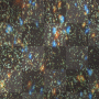 artemia animated bg-background star(s)-starburst-color