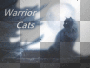 warrior cats ludmilla1959