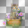 CAT WITH PINK AND WHITE FLOWERS DASIES