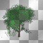 "arbol anmado" "tree animated" ymialma