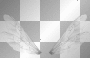 white fairy wings animated