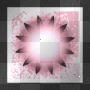 background  black white pink petals flower