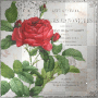 Bg roses green red white vintage