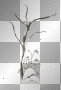 soave deco branch winter tree sepia