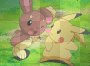  Ash's Pikachu and Dawn's Buneary.lagomorphshipping