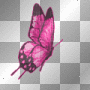pink butteflies fun gif*!!!
