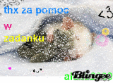 dyplom za pomoc w zadaniu
