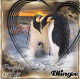 Penguins' Love