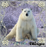 A Polar Bear Christmas