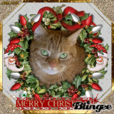 Merry Christmas...