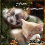Meine liebe Heidi - Frohe Weihnachten ♥