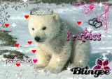 princess polar bear