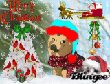 Season's Greetings