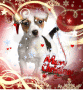 Merry Christmas Russle Merry Christmas Russle