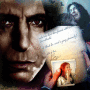 Severus Snape, o verdadeiro herói!