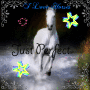 BlingBlingGirl204 BlingBlingGirl204