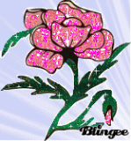 flor4