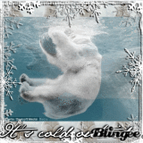 polar bear 
