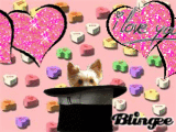 valentines