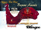 Bonne Année cape rouge