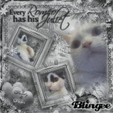 ♥Pandy & Polar♥