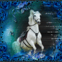 Cheval Blanc ...