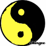 ying & yang