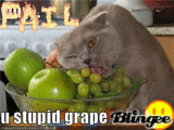 u stupid grape