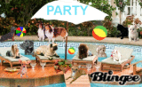 doggy pool party!