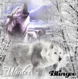 Winter Wolves