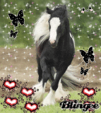Elyhorses