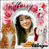 merry x'mas ninalove 