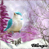 ein vogel im winter 