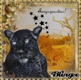 animaux  sauvages no 6