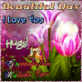 BEAUTIFUL DAY BEAUTIFUL DAY