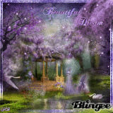 Beautiful Dream
