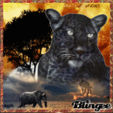 *IMAGESPASSIONS *Animaux sauvages - no 6*