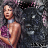 imagespassions-animaux sauvages