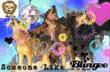 newyear wolfs